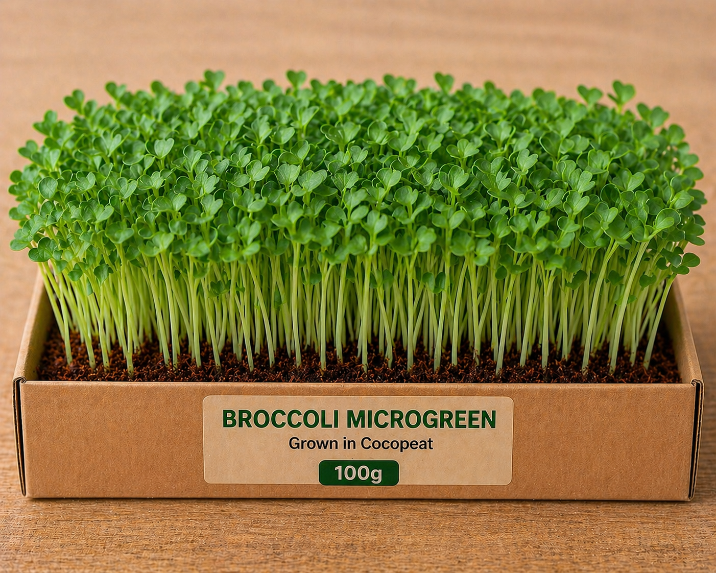 Broccoli Microgreens 100 gm Pack