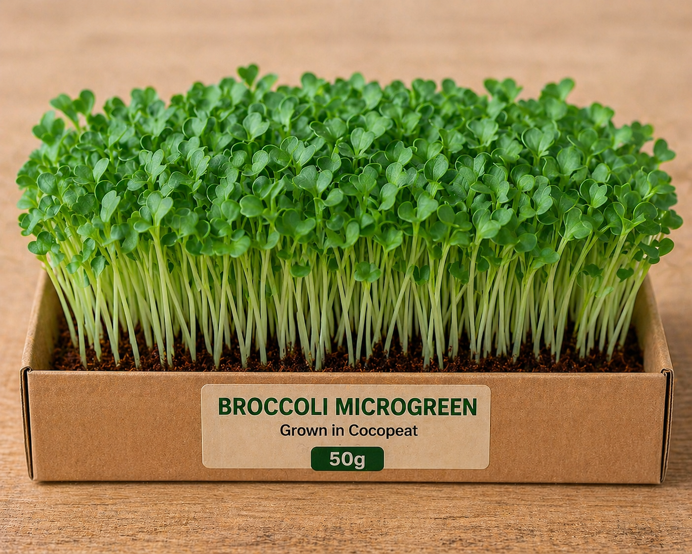 Broccoli Microgreens 50 gm Pack