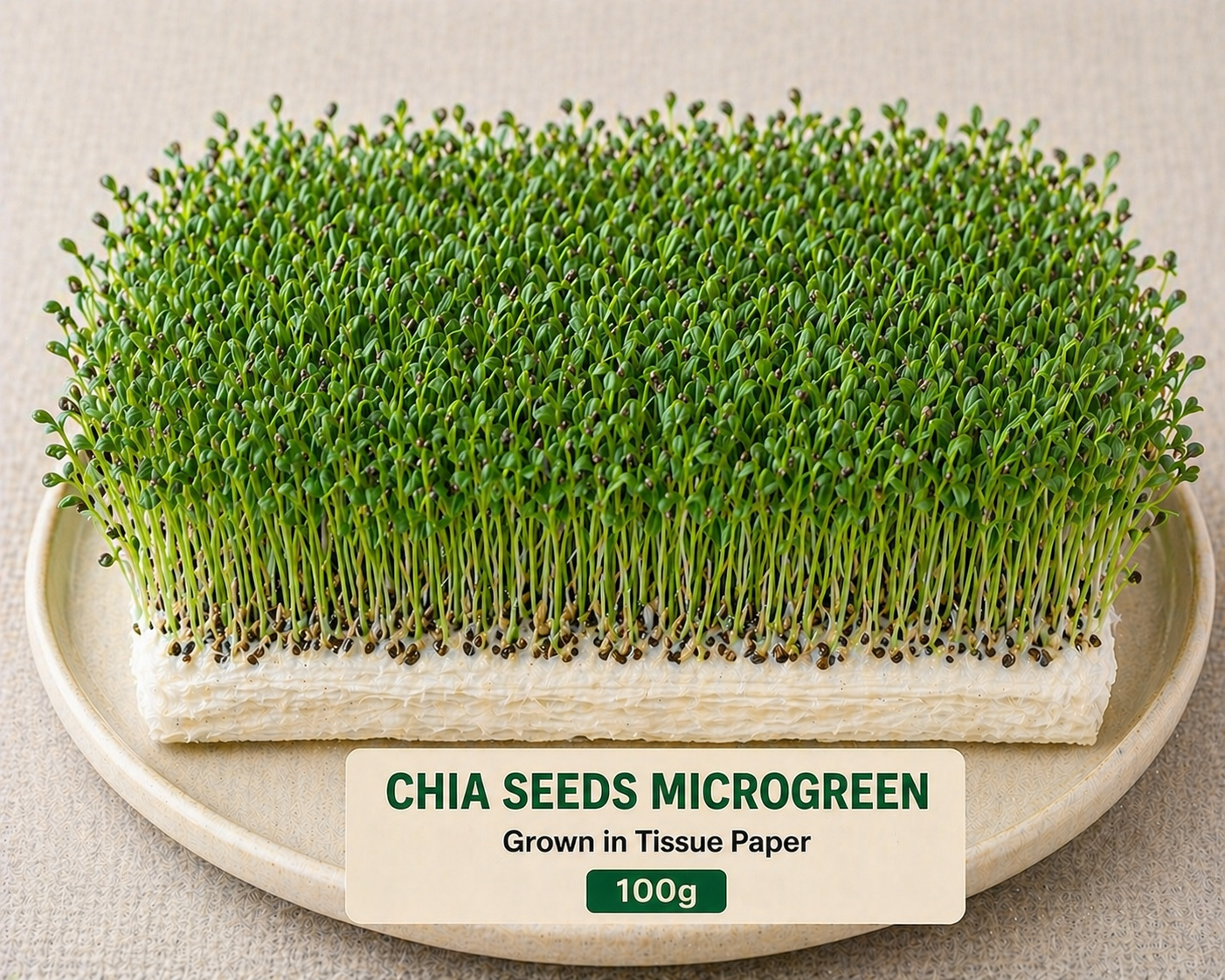 Chia Seeds Microgreens 100 gm Pack
