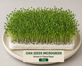 Chia Seeds Microgreens 50 gm Pack