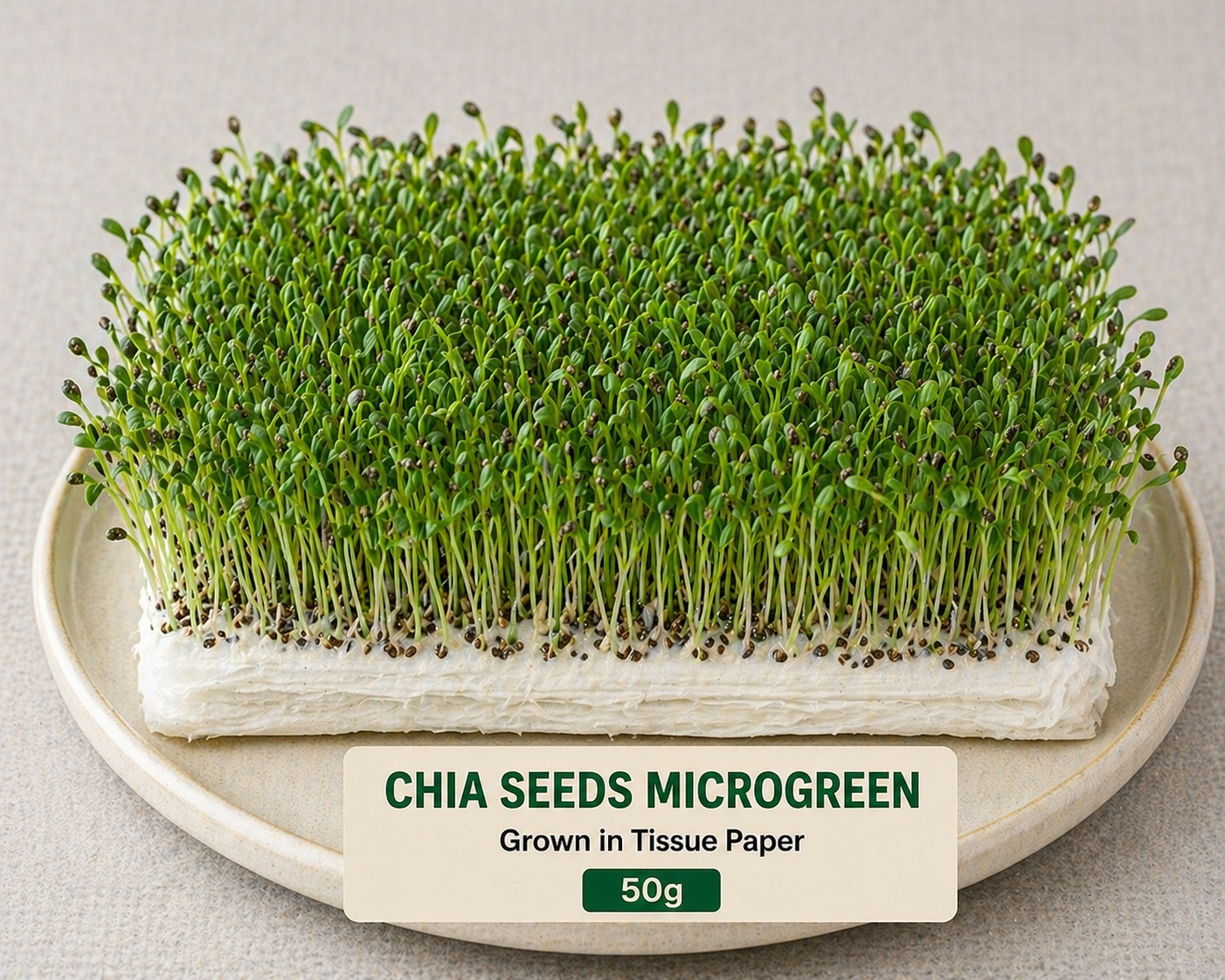 Chia Seeds Microgreens 50 gm Pack