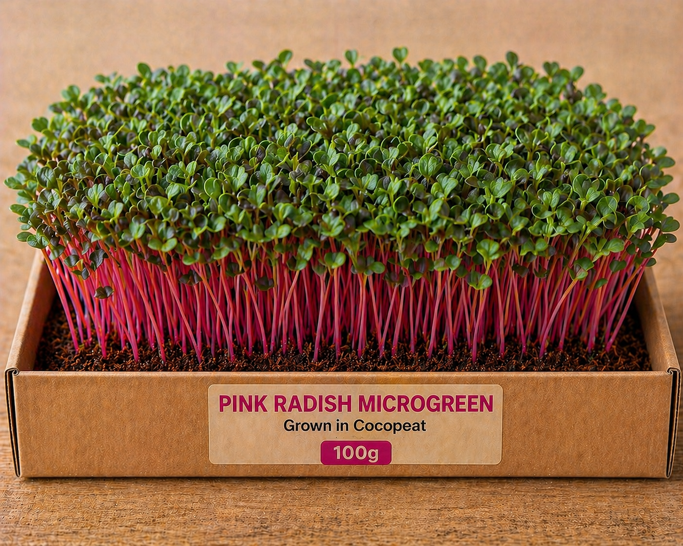 Pink Radish Microgreens 100 gm Pack
