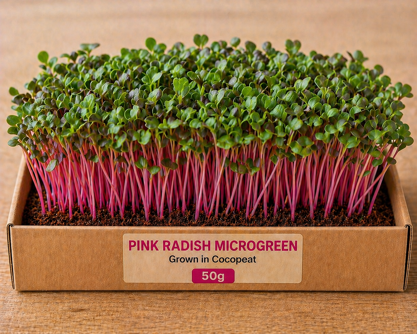 Pink Radish Microgreens 50 gm Pack