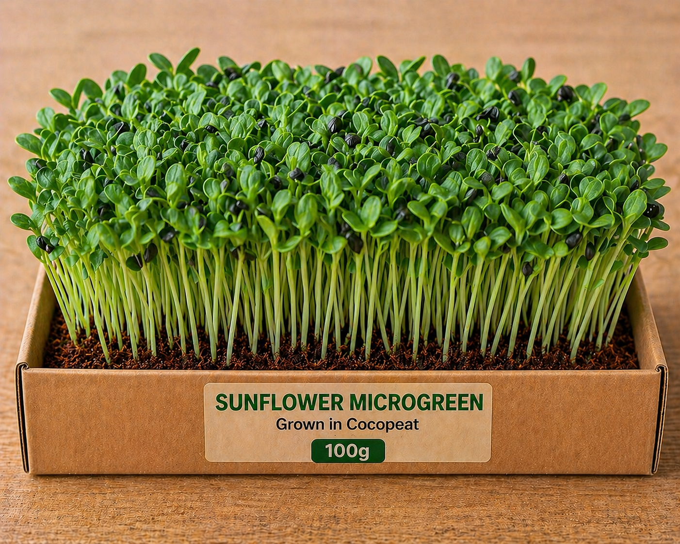 Sunflower Microgreens 100 gm Pack