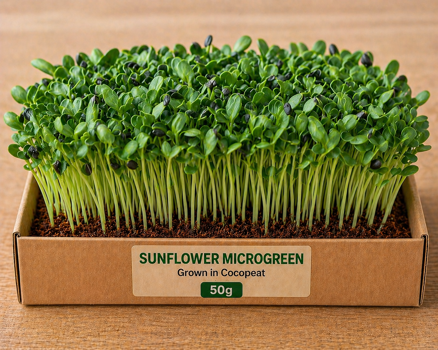 Sunflower Microgreens 50 gm Pack