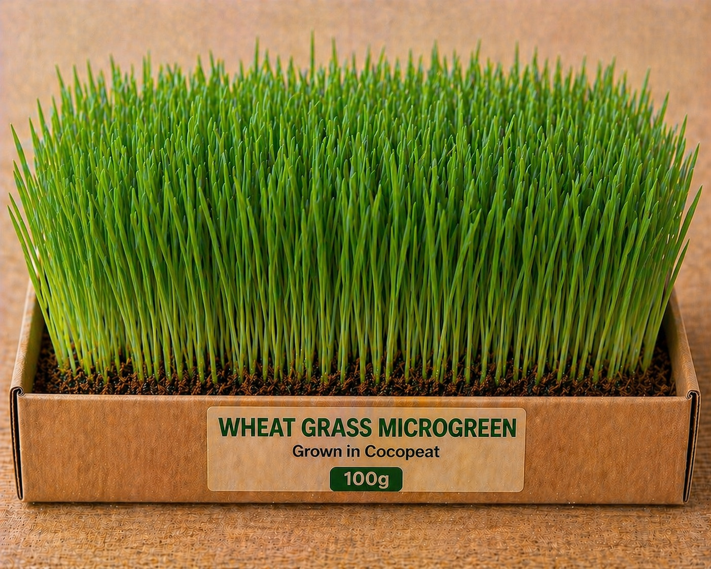 Wheat Grass Microgreens 100 gm Pack